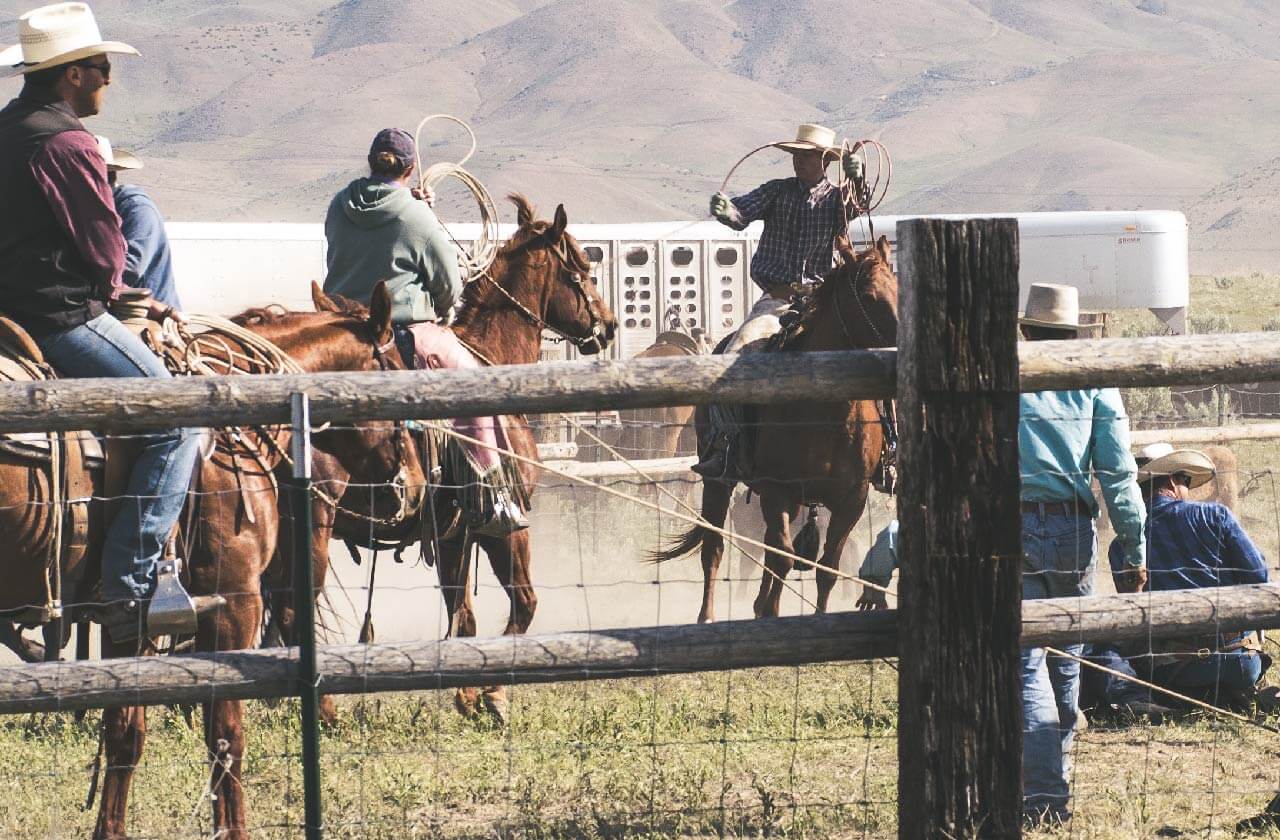 Old Western Cowboy Last Names