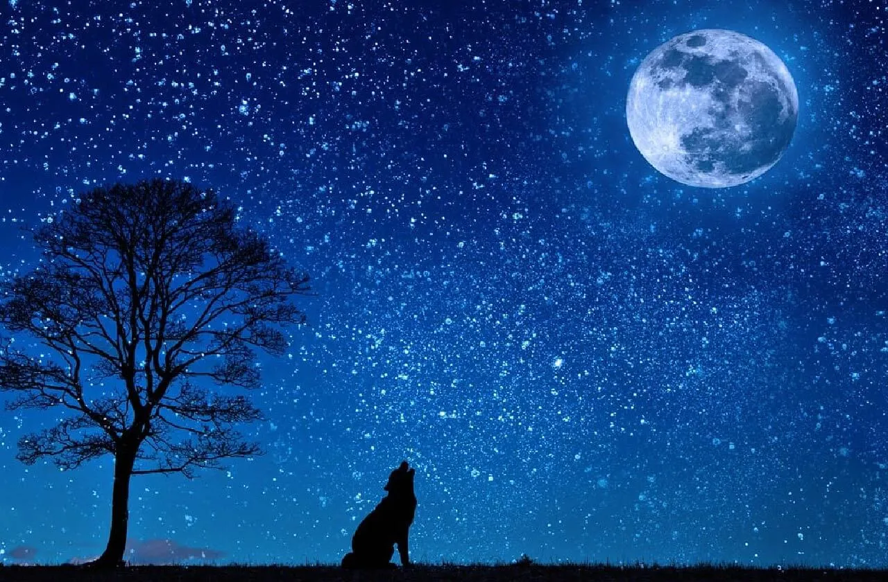 115 Names that Mean Night (Girls and Boys) - Listophile